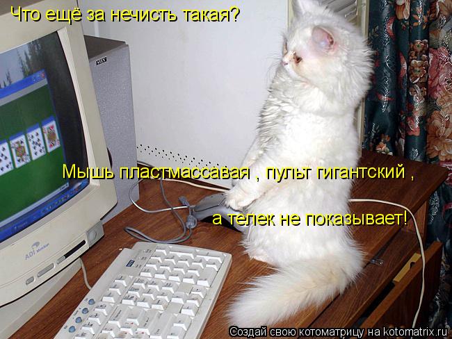 Котоматрица: Что ещё за нечисть такая? Мышь пластмассавая , пульт гигантский ,  а телек не показывает!