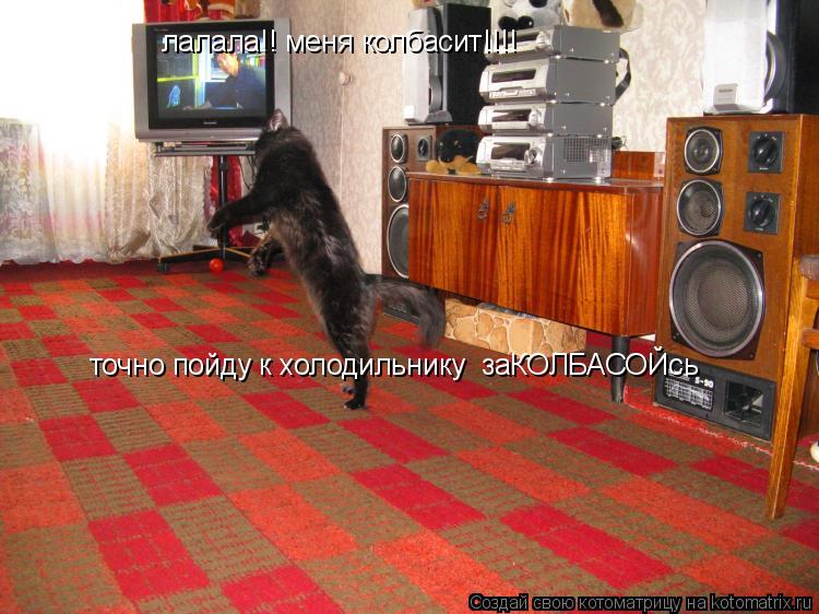 Котоматрица: лалала!! меня колбасит!!!! точно пойду к холодильнику  заКОЛБАСОЙсь