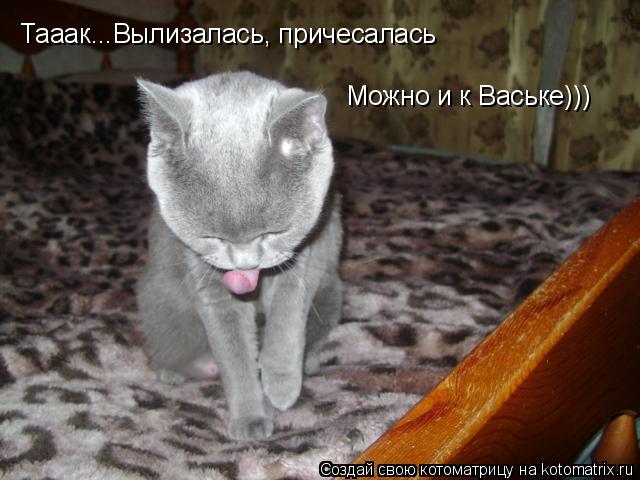 Тааак...Вылизалась, причесалась Можно и к Ваське)))... Котоматрица: Тааак...Вылизалась, причесалась Можно и к Ваське)))