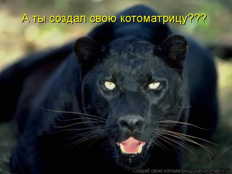 А ты создал свою котоматрицу???... Котоматрица: А ты создал свою котоматрицу???