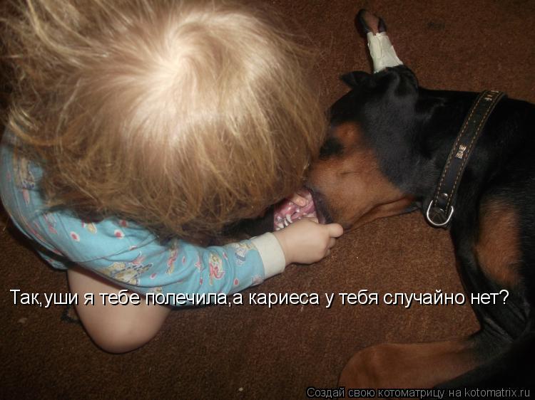 Котоматрица: Так,уши я тебе полечила,а кариеса у тебя случайно нет?