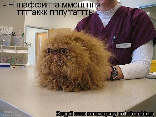 Котоматрица: - Нннаффиггга мменнння  ттттаккк пппуггаттть!..
