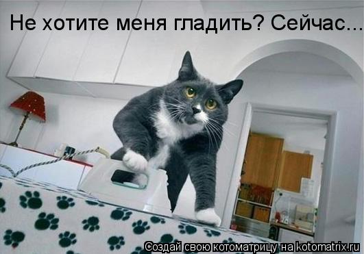 Котоматрица: Не хотите меня гладить? Сейчас...