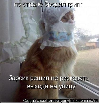 Котоматрица: по стране бродил грипп барсик решил не рисковать выходя на улицу
