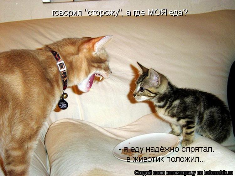 Котоматрица: говорил "сторожу", а где МОЯ еда? - я еду надёжно спрятал. в животик положил...