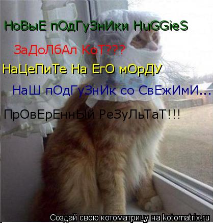 Котоматрица: НаЦеПиТе На ЕгО мОрДУ НаШ пОдГуЗнИк со СвЕжИмИ...  ЗаДоЛбАл КоТ??? НоВыЕ пОдГуЗнИки HuGGieS ПрОвЕрЕннЫй РеЗуЛьТаТ!!!