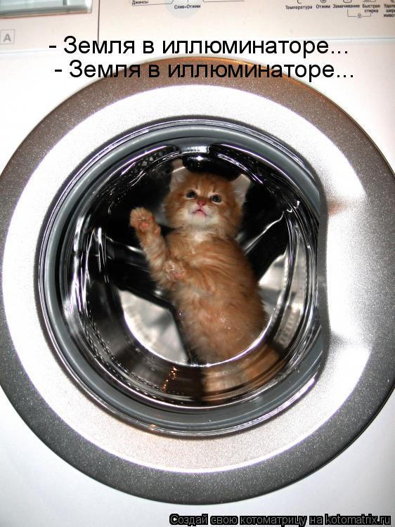 Котоматрица: - Земля в иллюминаторе...  - Земля в иллюминаторе...