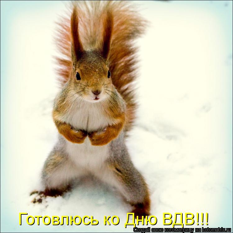 Котоматрица: Готовлюсь ко Дню ВДВ!!!