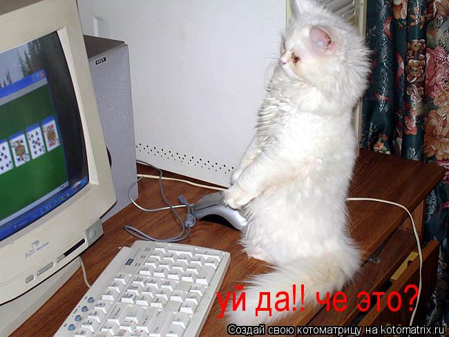 Котоматрица: уй да!! че это?