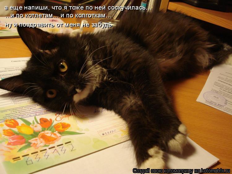Котоматрица: а еще напиши, что я тоже по ней соскучилась... ...и по котлетам... и по колготкам... ну и поздравить от меня не забудь