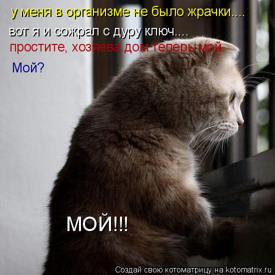 Котоматрица: у меня в организме не было жрачки.... вот я и сожрал с дуру ключ.... простите, хозяева.дом теперь мой.  Мой?  МОЙ!!!