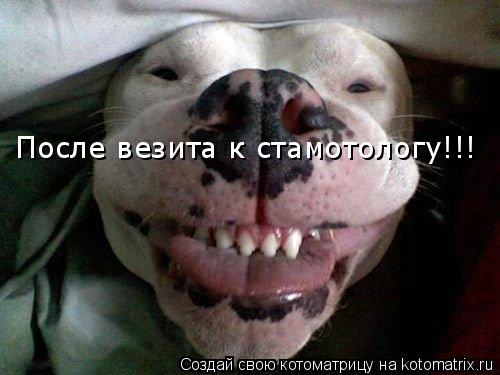 Котоматрица: После везита к стамотологу!!!