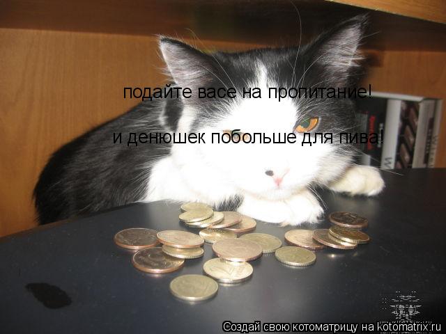 Котоматрица: подайте васе на пропитание! и денюшек побольше для пива!