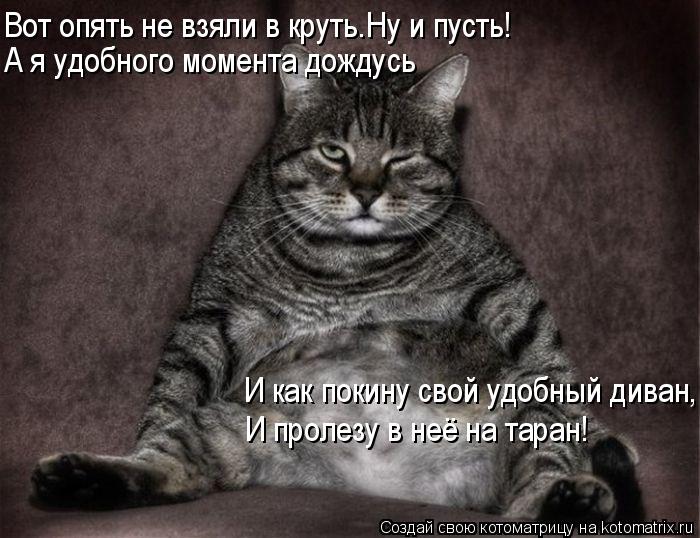 Котоматрица: Вот опять не взяли в круть.Ну и пусть! А я удобного момента дождусь И пролезу в неё на таран! И как покину свой удобный диван,