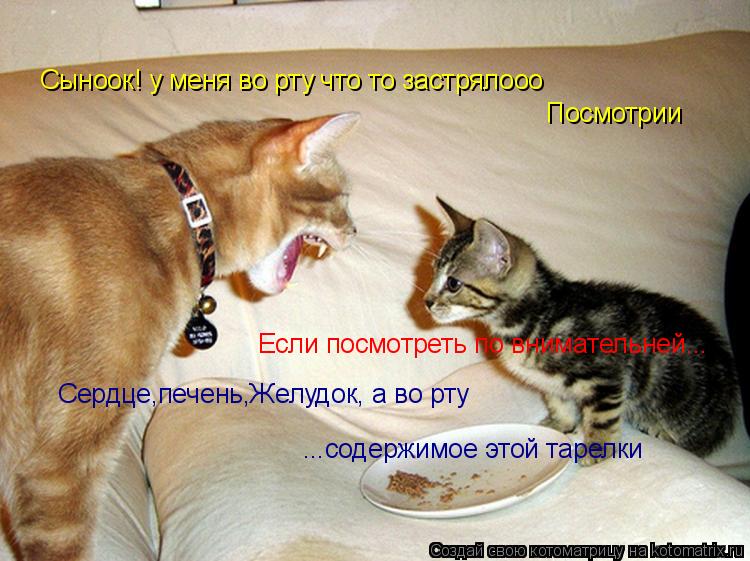 Котоматрица: Сыноок! у меня во рту что то застрялооо Посмотрии Если посмотреть по внимательней... Сердце,печень,Желудок, а во рту  ...содержимое этой тарел