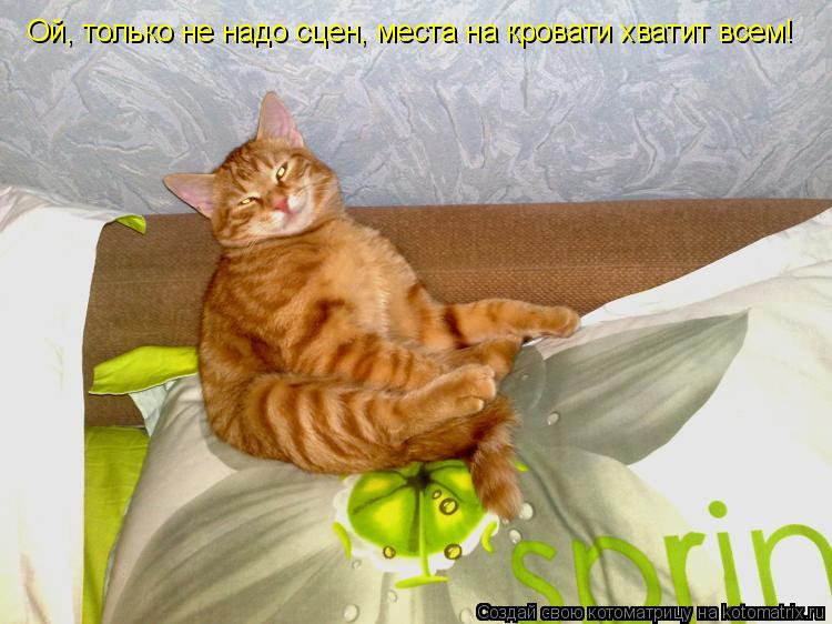 Котоматрица: Ой, только не надо сцен, места на кровати хватит всем!