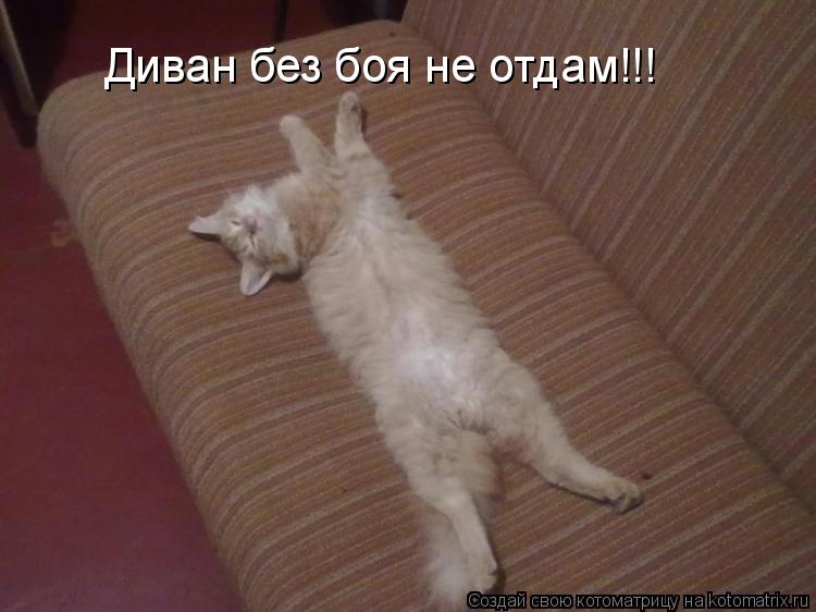 Котоматрица: Диван без боя не отдам!!!