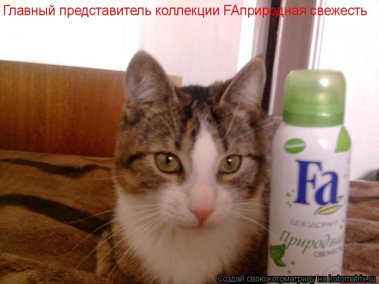Котоматрица: Главный представитель коллекции FAприродная свежесть