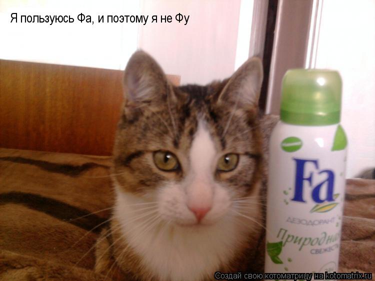 Котоматрица: Я пользуюсь Фа, и поэтому я не Фу