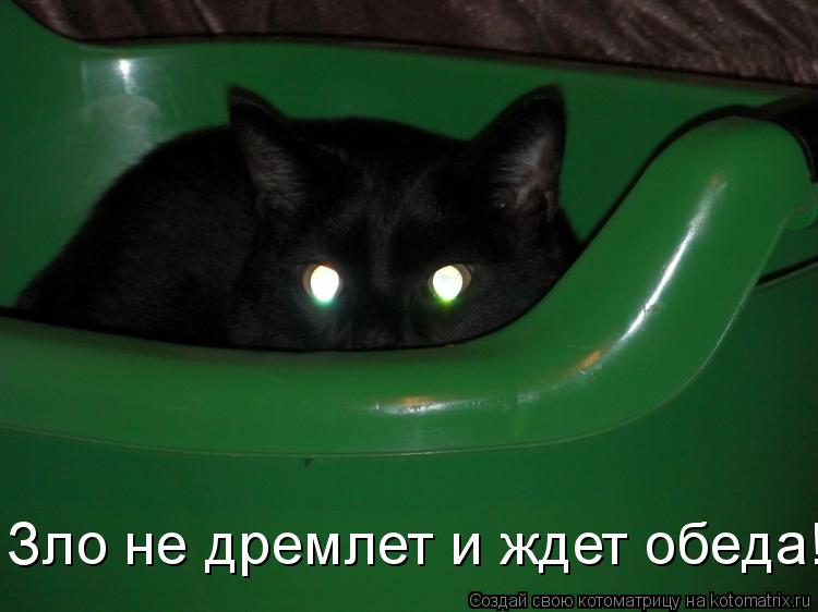 Котоматрица: Зло не дремлет и ждет обеда!!!