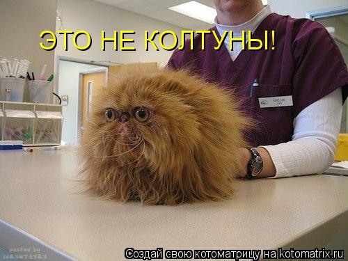 Котоматрица: ЭТО НЕ КОЛТУНЫ!