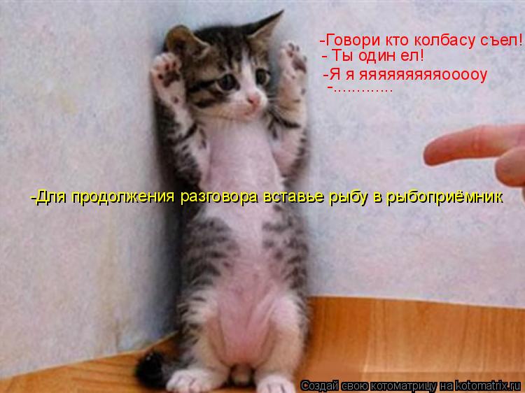 Котоматрица: -Говори кто колбасу съел! - Ты один ел! -Я я яяяяяяяяяооооу -............. -Для продолжения разговора вставье рыбу в рыбоприёмник