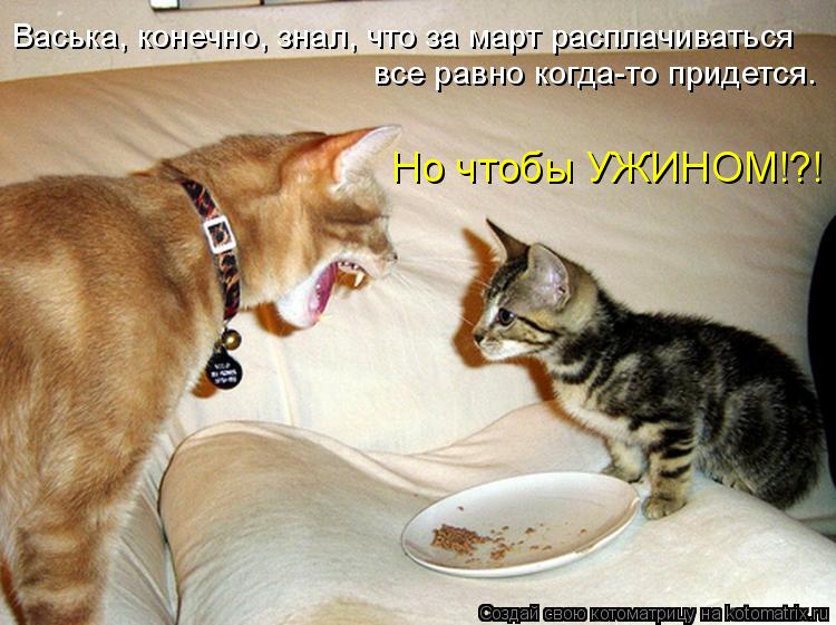 Котоматрица: все равно когда-то придется. Но чтобы УЖИНОМ!?! Васька, конечно, знал, что за март расплачиваться