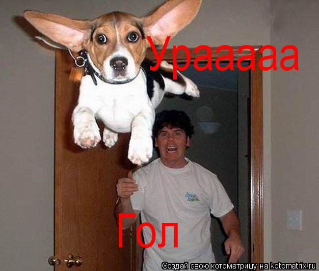Котоматрица: Гол Урааааа