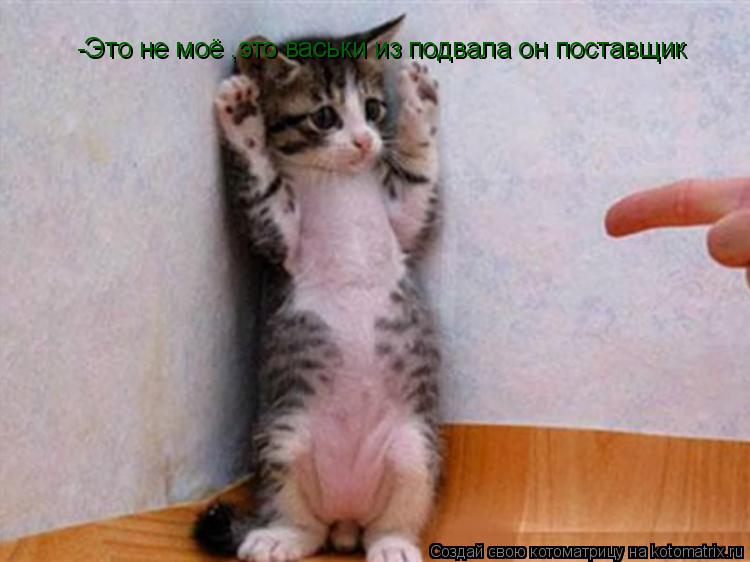 Котоматрица: -Это не моё ,это васьки из подвала он поставщик