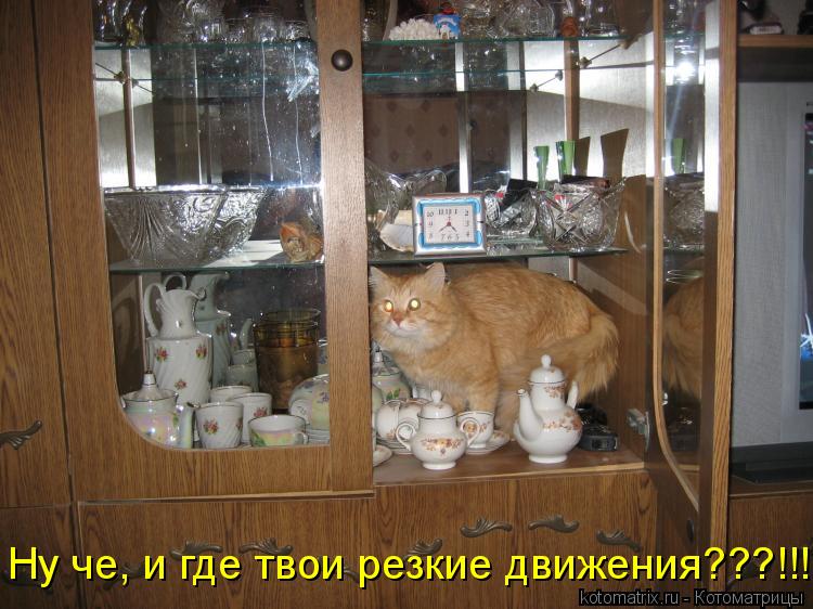 Котоматрица: Ну че, и где твои резкие движения???!!!