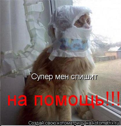Котоматрица: Супер мен спишит                                              на на помощь!!!