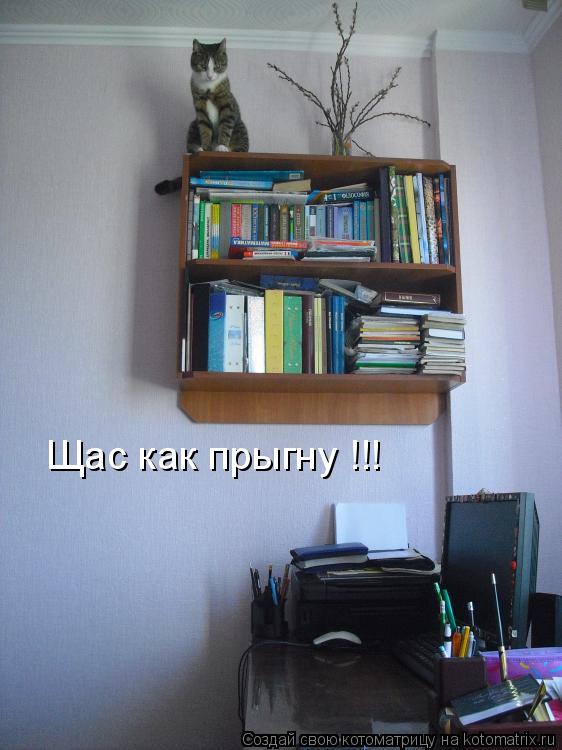 Котоматрица: Щас как прыгну !!!