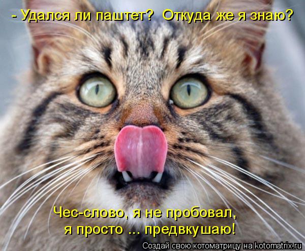 - Удался ли паштет? Откуда же я знаю? я просто ... предвкушаю! Чес-слово, я не пробовал,... Котоматрица: - Удался ли паштет? Откуда же я знаю? я просто ... предвкушаю! Чес-слово, я не пробовал,