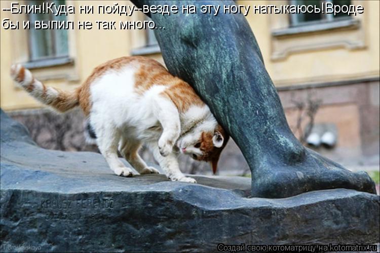 Котоматрица: --Блин!Куда ни пойду--везде на эту ногу натыкаюсь!Вроде бы и выпил не так много...