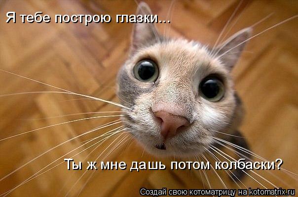 Котоматрица: Я тебе построю глазки... Ты ж мне дашь потом колбаски?