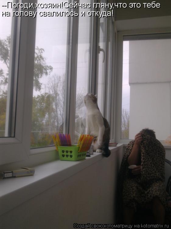 Котоматрица: --Погоди,хозяин!Сейчас гляну,что это тебе на голову свалилось и откуда!