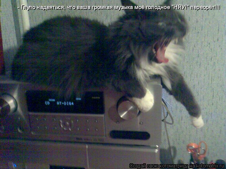 Котоматрица: - Глупо надеяться, что ваша громкая музыка моё голодное "НЯУ!" переорёт!!!