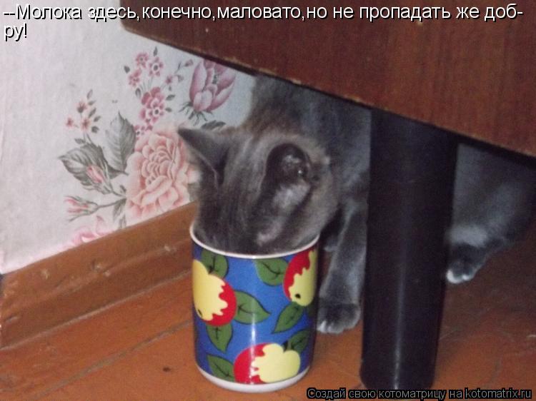 Котоматрица: --Молока здесь,конечно,маловато,но не пропадать же доб- ру!