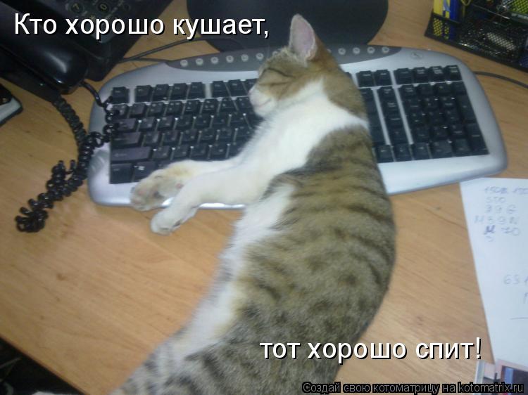 Котоматрица: Кто хорошо кушает, тот хорошо спит!