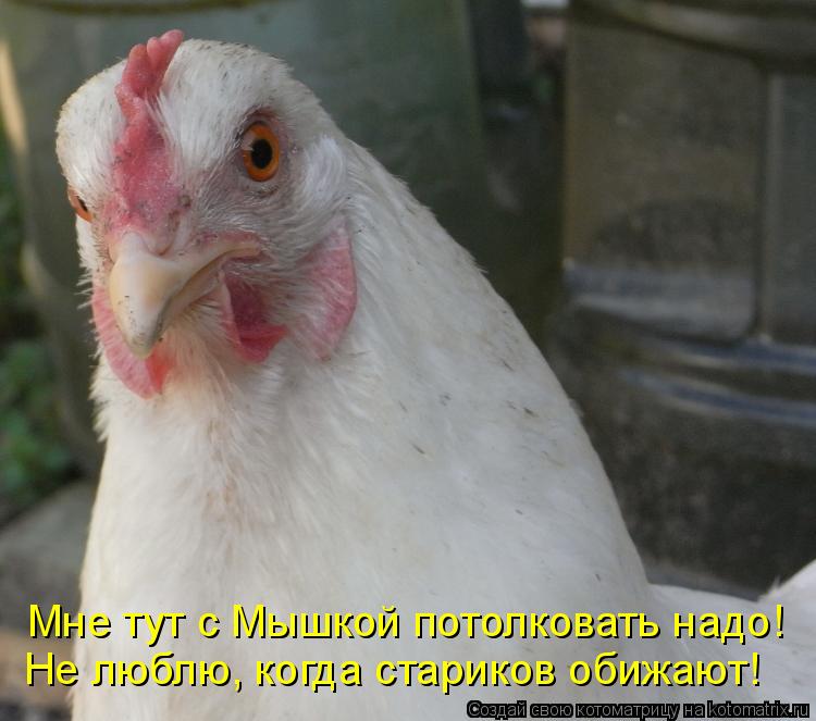 Котоматрица: Мне тут с Мышкой потолковать надо! Не люблю, когда стариков обижают!