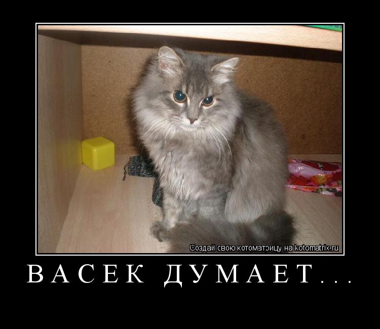 Котоматрица: Васёк думает... 