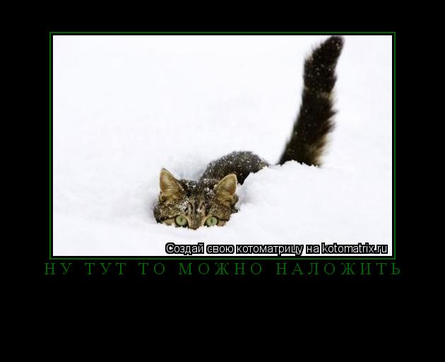 Котоматрица: ну тут то можно наложить 