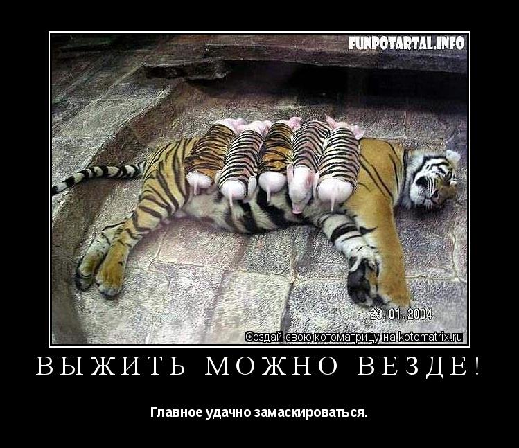 Котоматрица: Выжить можно везде! Главное удачно замаскироваться.