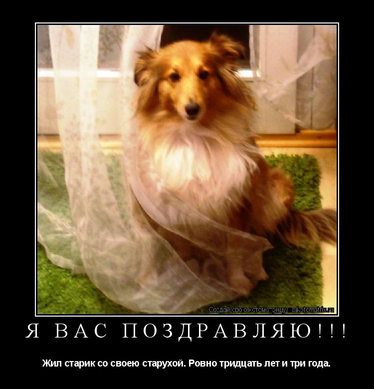 Котоматрица:      Я ВАС ПОЗДРАВЛЯЮ!!! Жил старик со своею старухой. Ровно тридцать лет и три года.