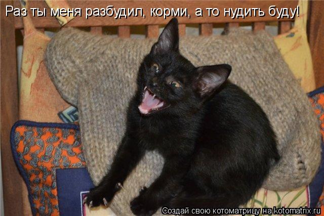 Котоматрица: Раз ты меня разбудил, корми, а то нудить буду!