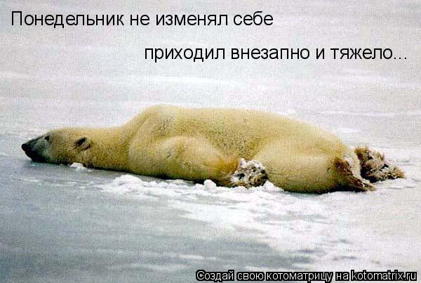 Котоматрица: Понедельник не изменял себе приходил внезапно и тяжело...