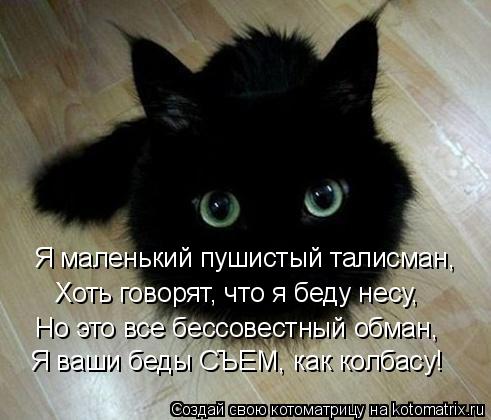 Котоматрица: Я маленький пушистый талисман, Хоть говорят, что я беду несу, Но это все бессовестный обман, Я ваши беды СЪЕМ, как колбасу!