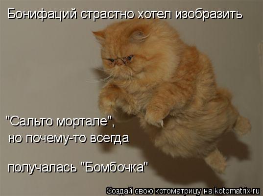 Котоматрица: Бонифаций страстно хотел изобразить "Сальто мортале", но почему-то всегда  получалась "Бомбочка"