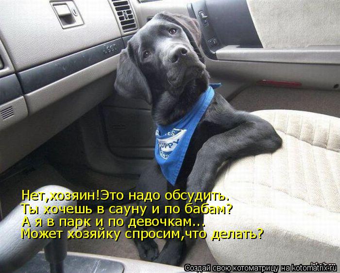 Котоматрица: Нет,хозяин!Это надо обсудить. Ты хочешь в сауну и по бабам? А я в парк и по девочкам... Может хозяйку спросим,что делать?