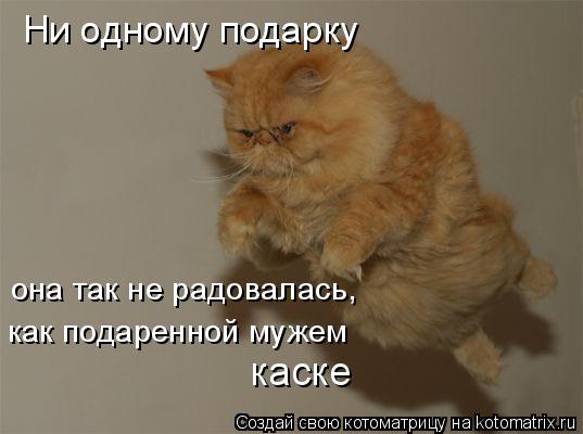 Не подарил ни одного подарка Не подарил ни одного подарка